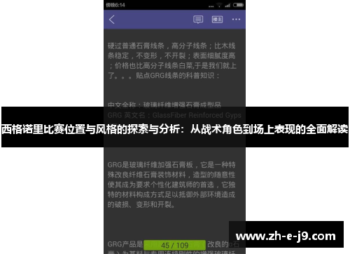 西格诺里比赛位置与风格的探索与分析：从战术角色到场上表现的全面解读
