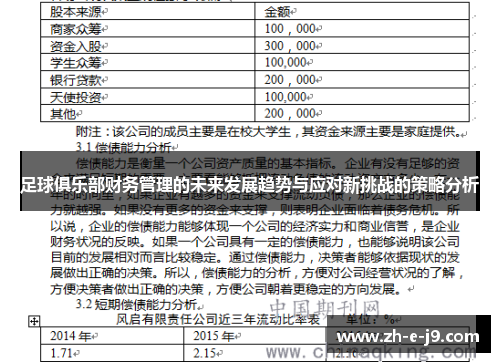 足球俱乐部财务管理的未来发展趋势与应对新挑战的策略分析